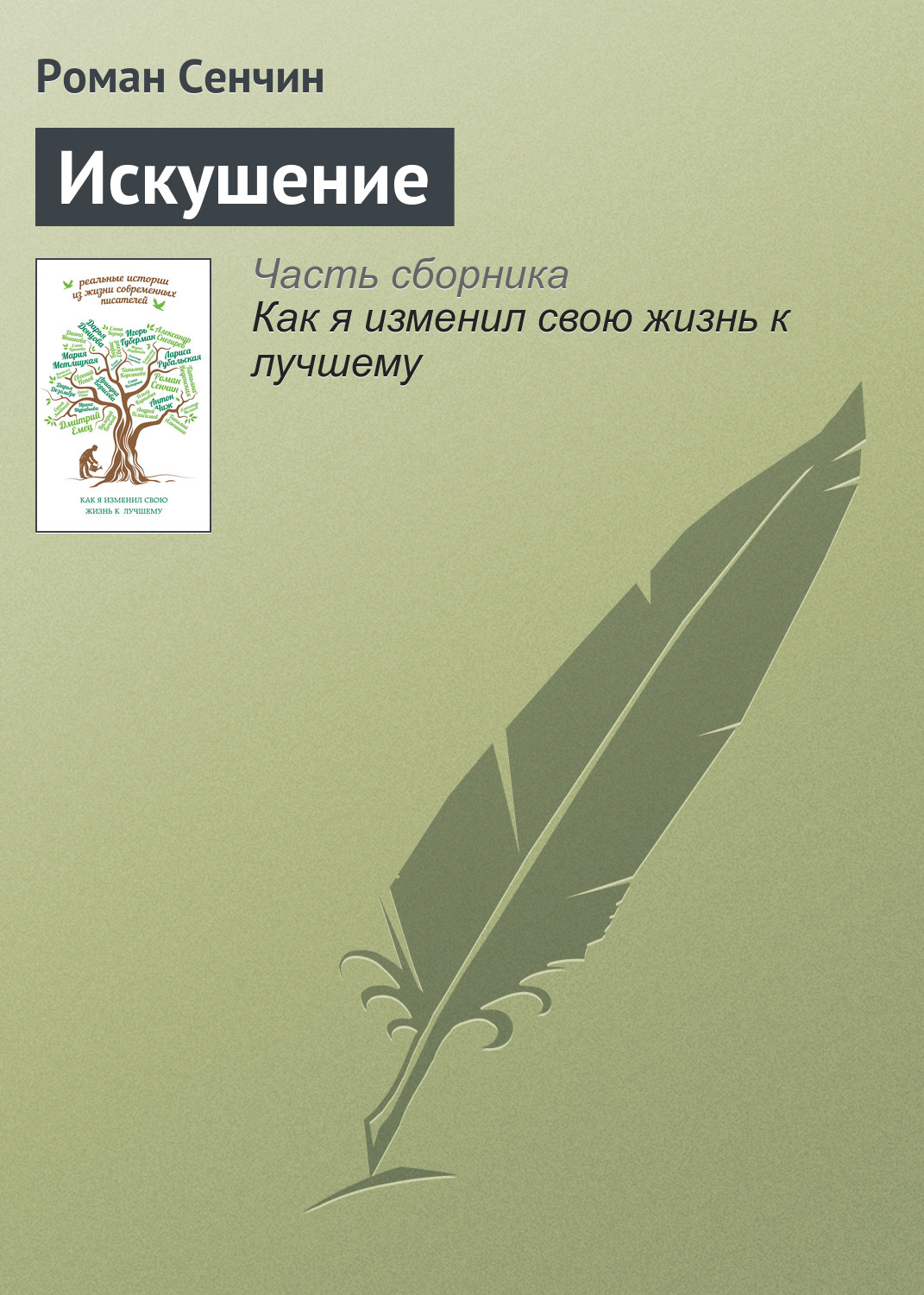 Обложка книги «Искушение»