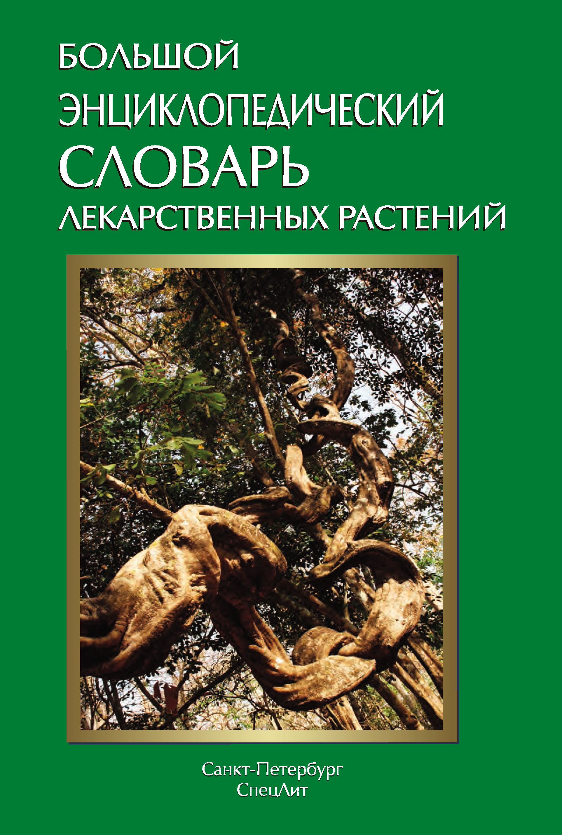 Обложка книги «Большой энциклопедический словарь лекарственных растений»