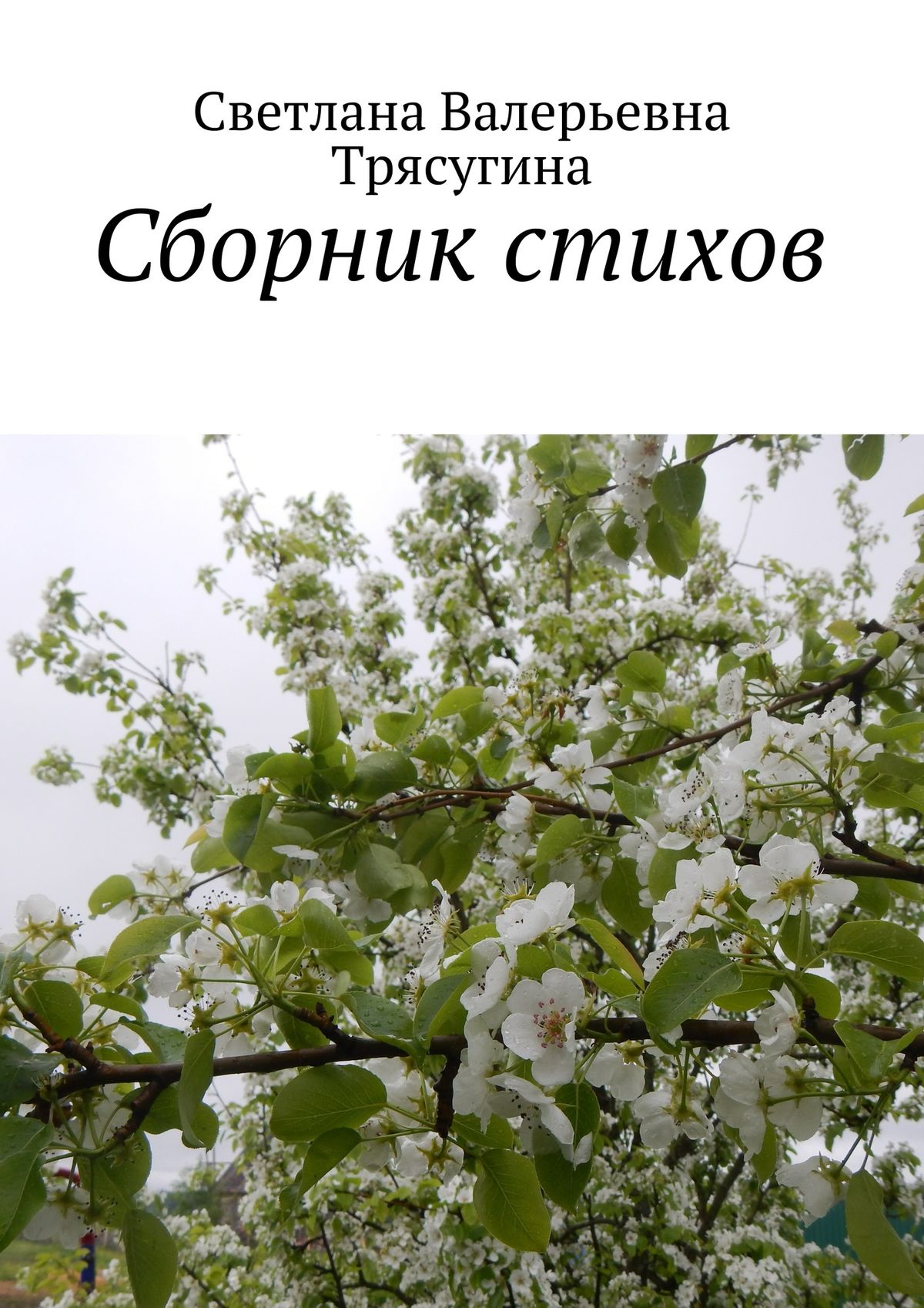 Обложка книги «Сборник стихов»