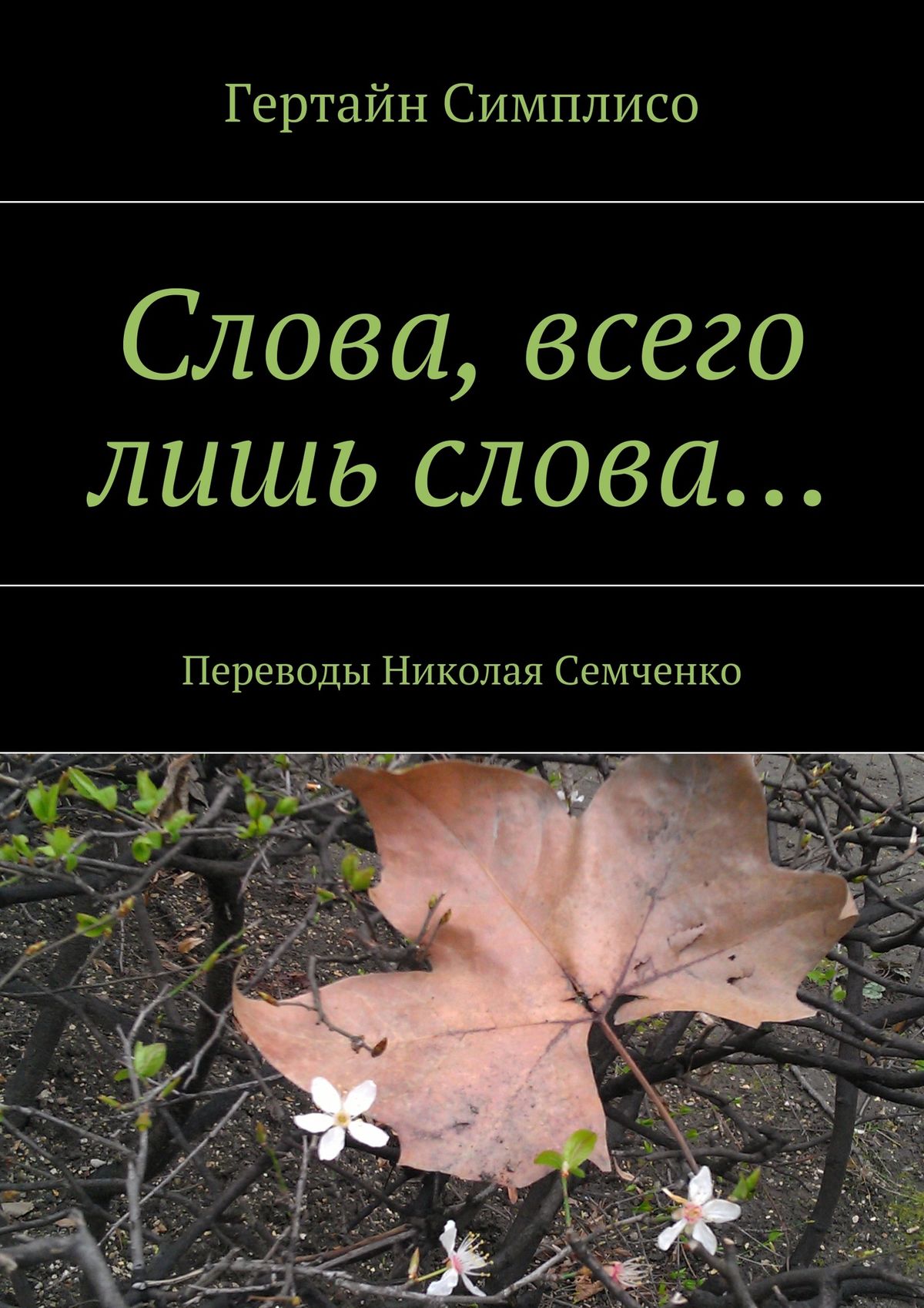 Обложка книги «Слова, всего лишь слова…»
