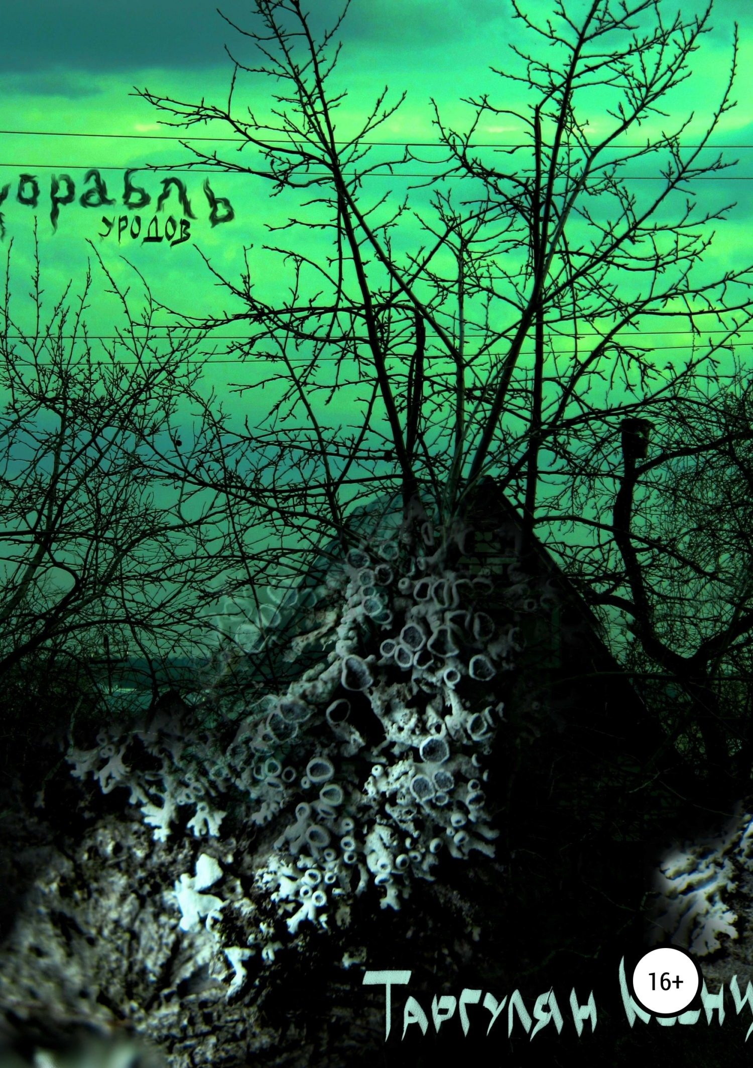 Обложка книги «Корабль уродов»