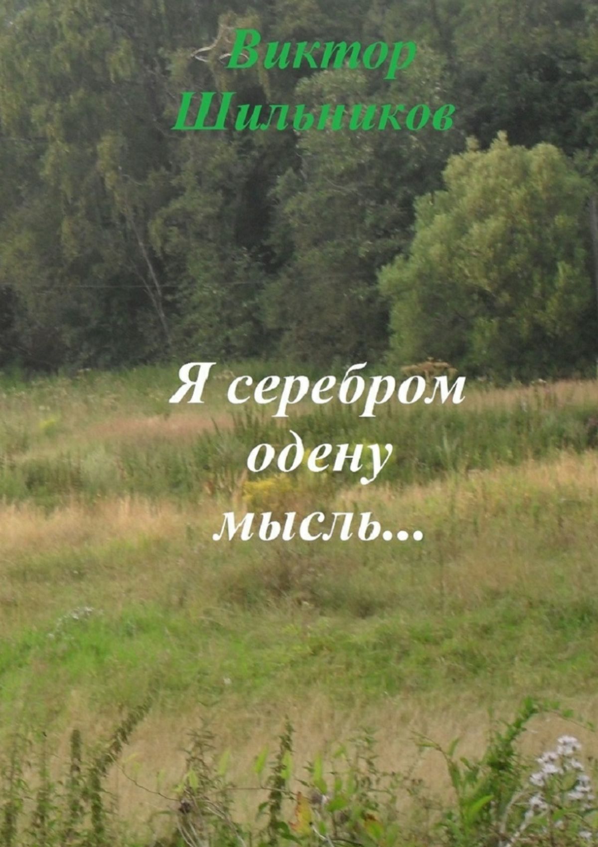 Обложка книги «Я серебром одену мысль…»