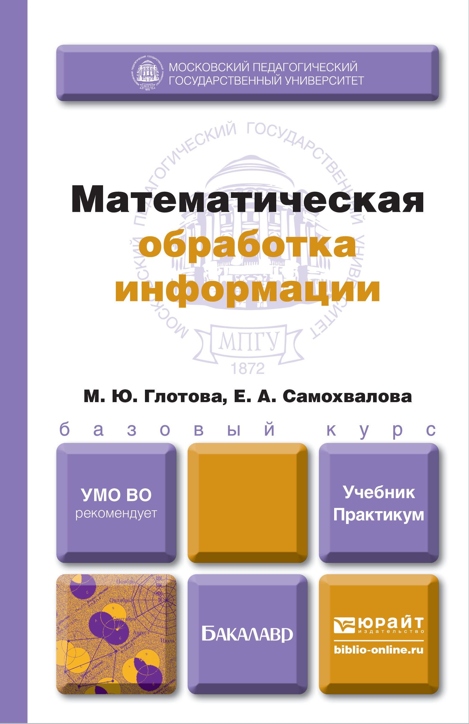 Обложка книги «Математическая обработка информации. Учебник и практикум»