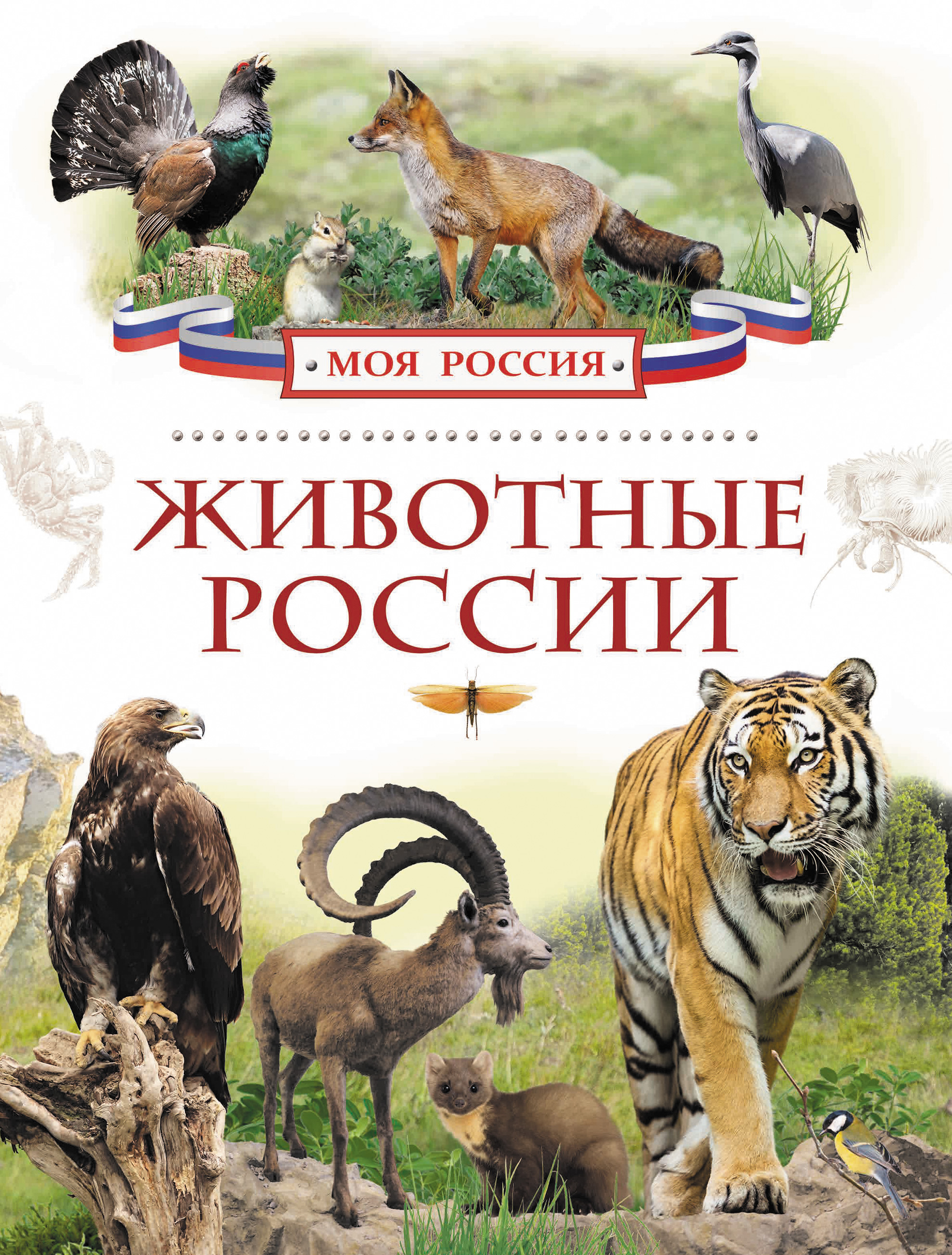 Обложка книги «Животные России»