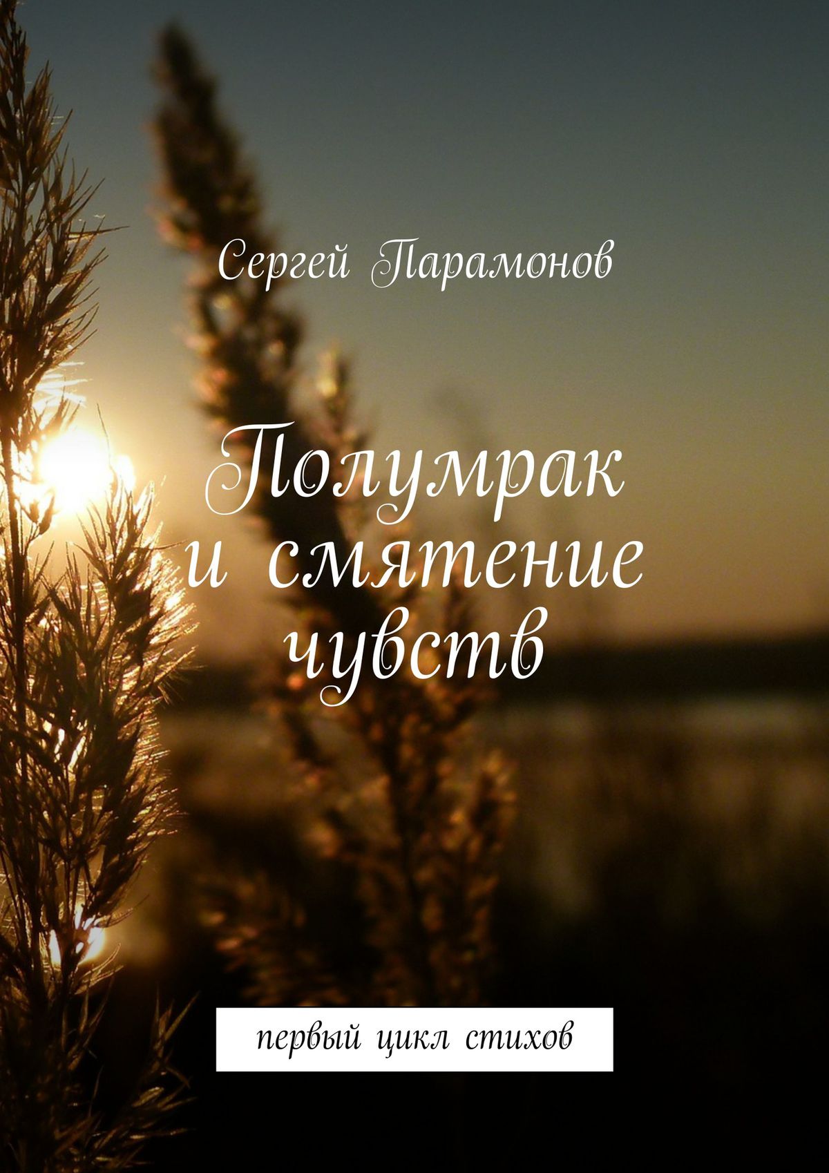 Обложка книги «Полумрак и смятение чувств. Первый цикл стихов»