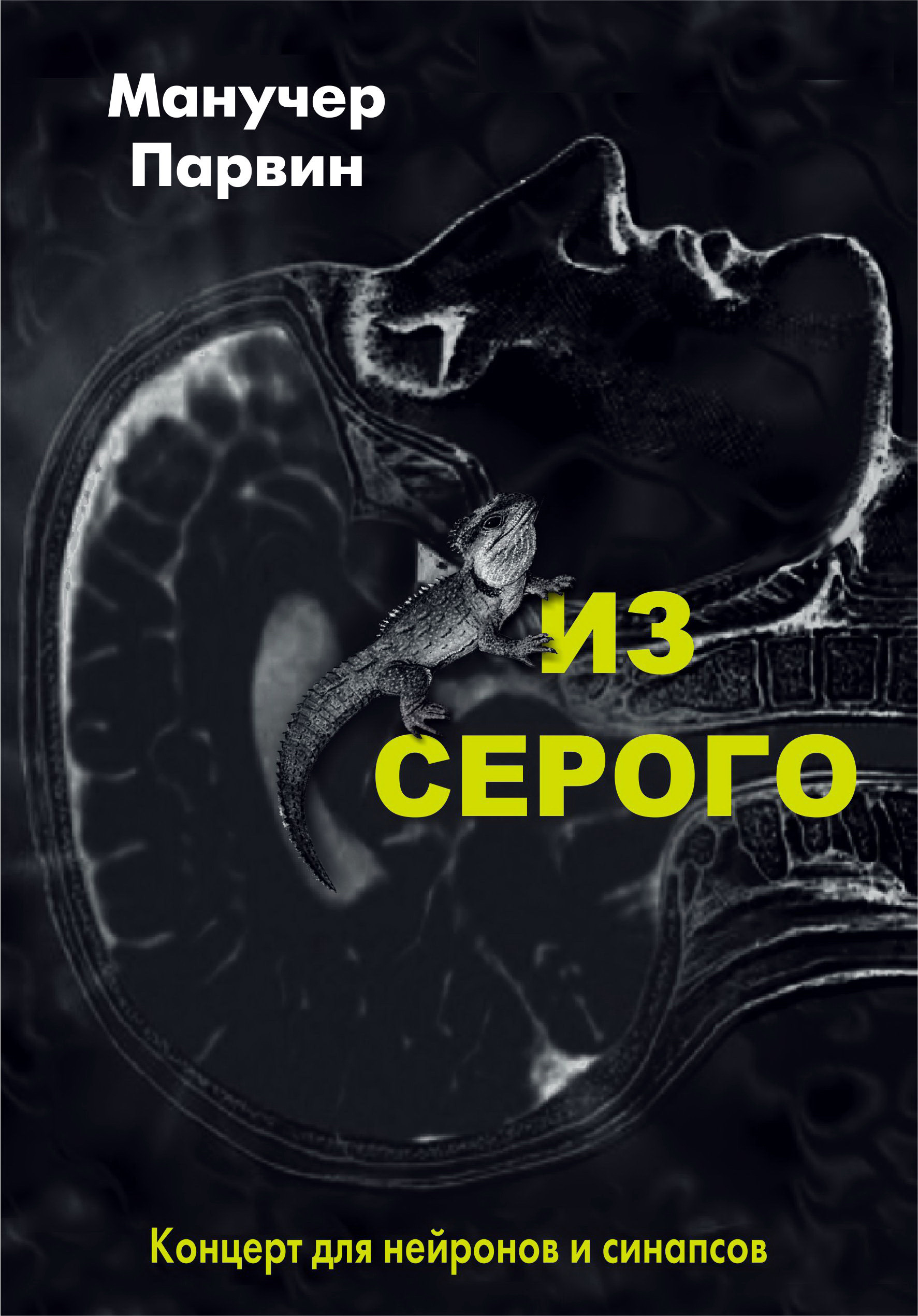 Обложка книги «Из серого. Концерт для нейронов и синапсов»