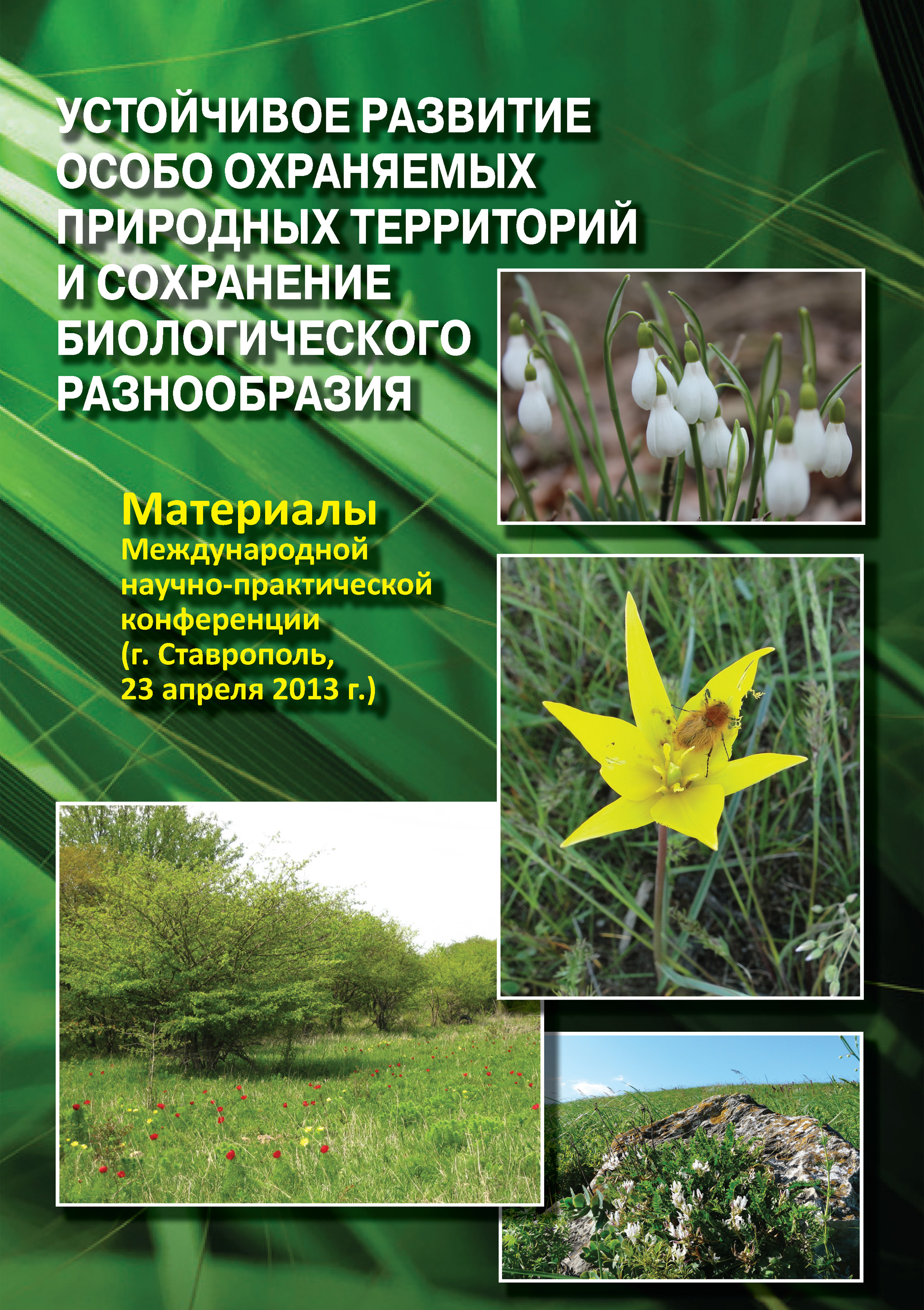Обложка книги «Устойчивое развитие особо охраняемых природных территорий и сохранение биологического разнообразия. Материалы Международной научно-практической конференции (г. Ставрополь, 23 апреля 2013 г.)»