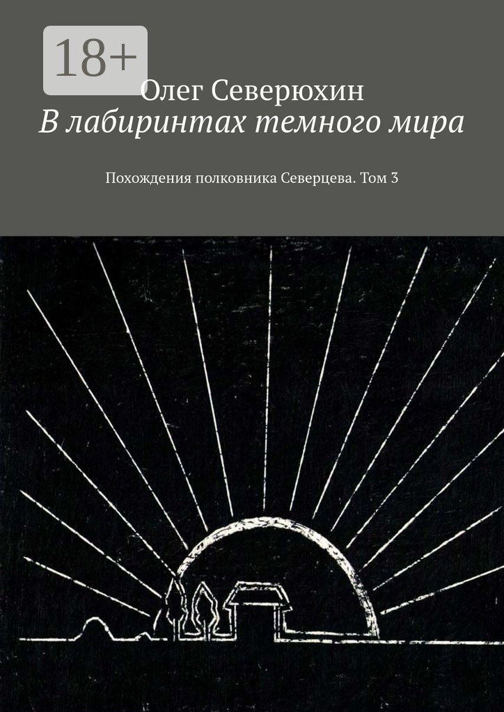 Обложка книги «В лабиринтах темного мира. Похождения полковника Северцева. Том 3»