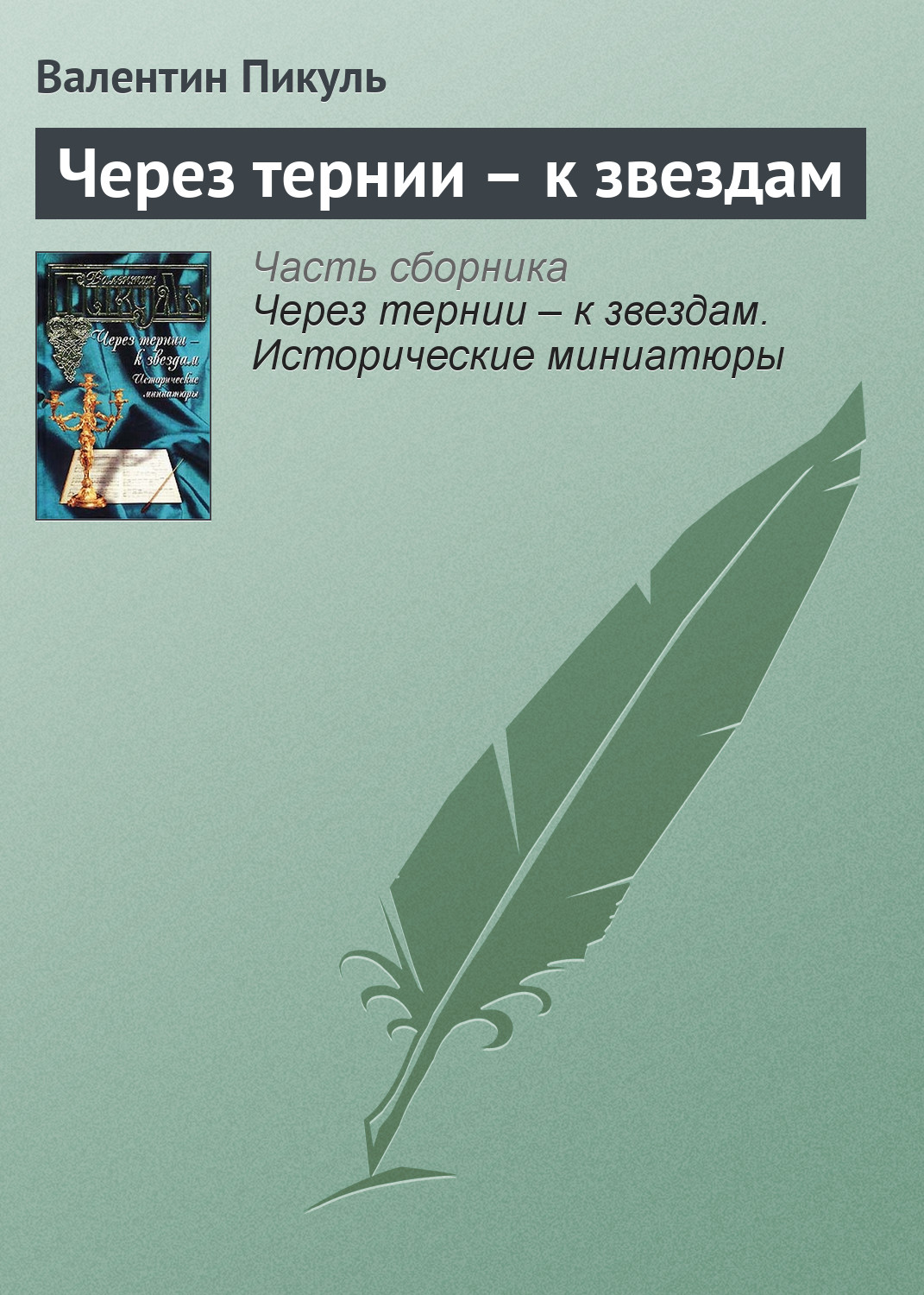 Обложка книги «Через тернии – к звездам»