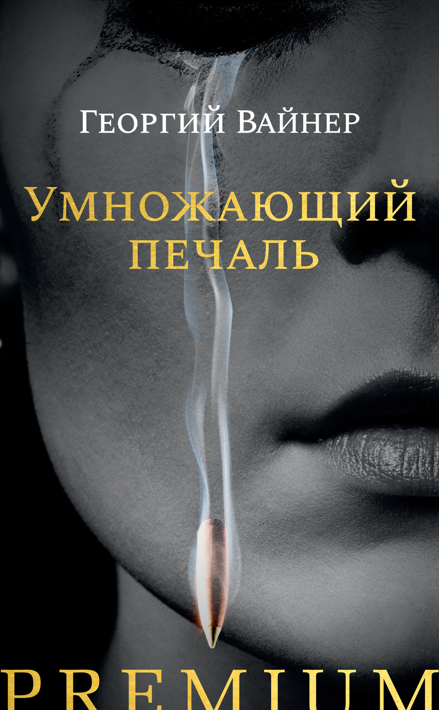 Обложка книги «Умножающий печаль»
