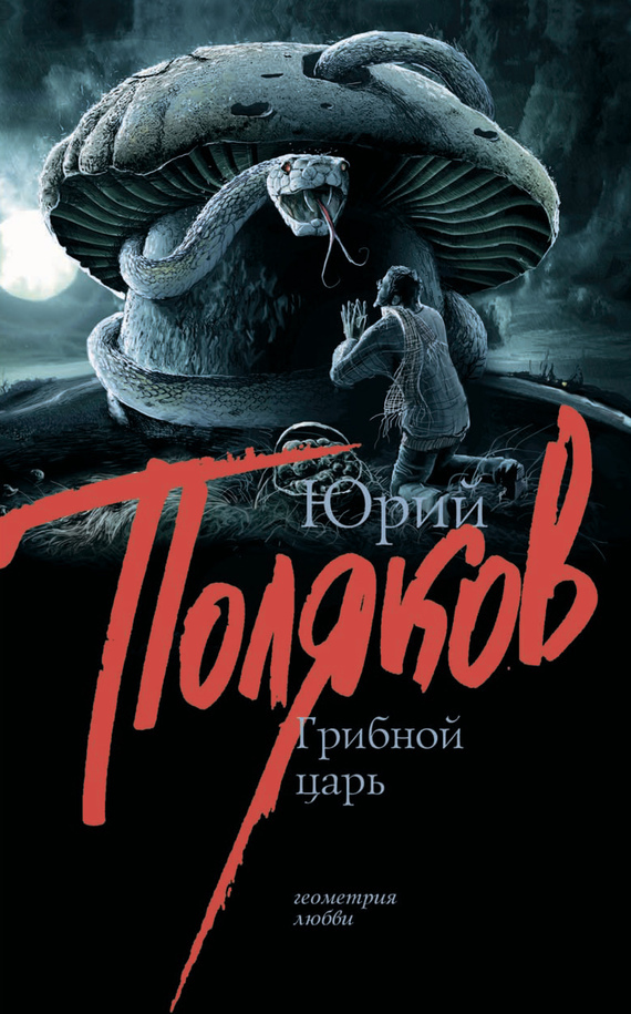 Обложка книги «Грибной царь»