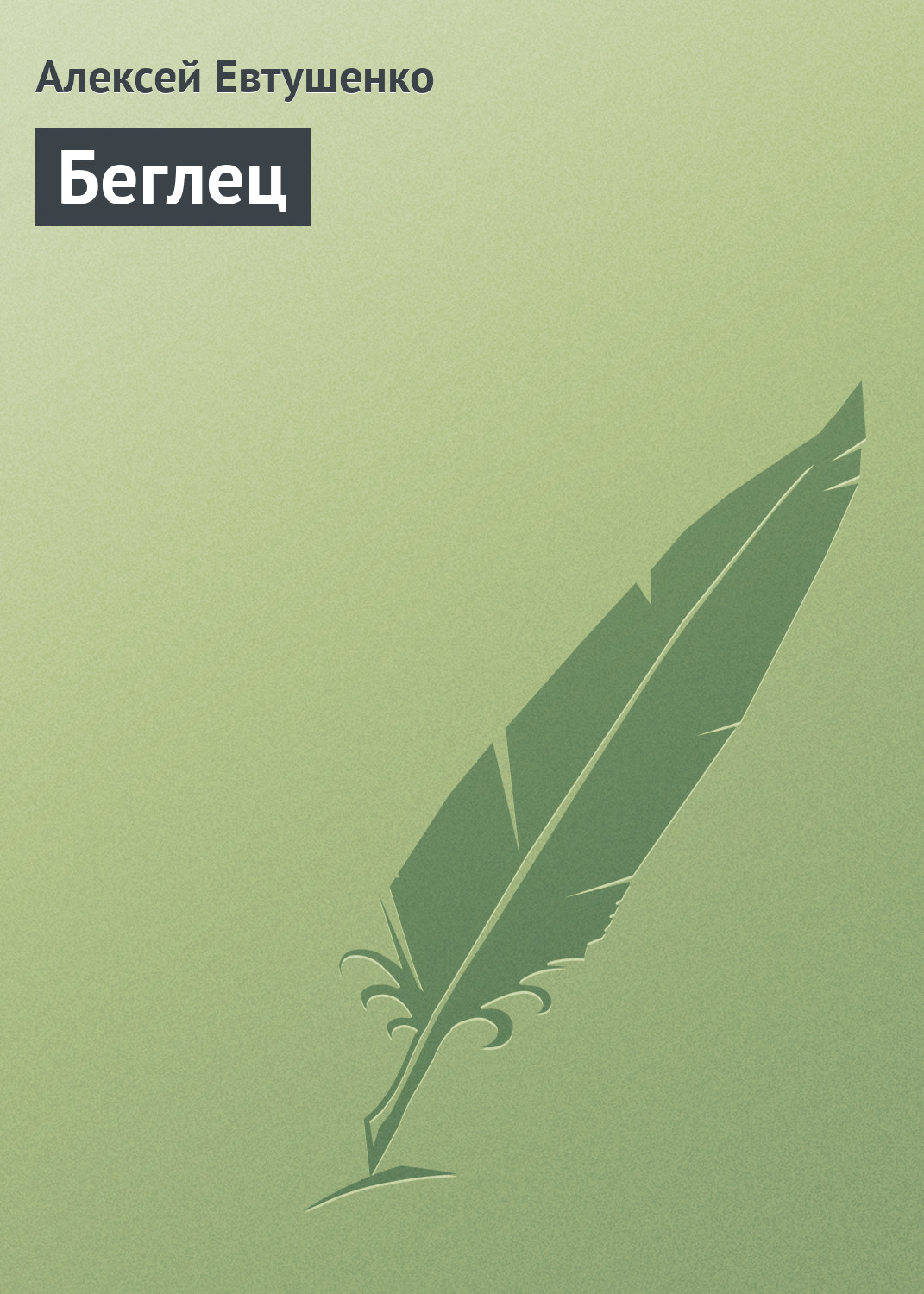 Обложка книги «Беглец»