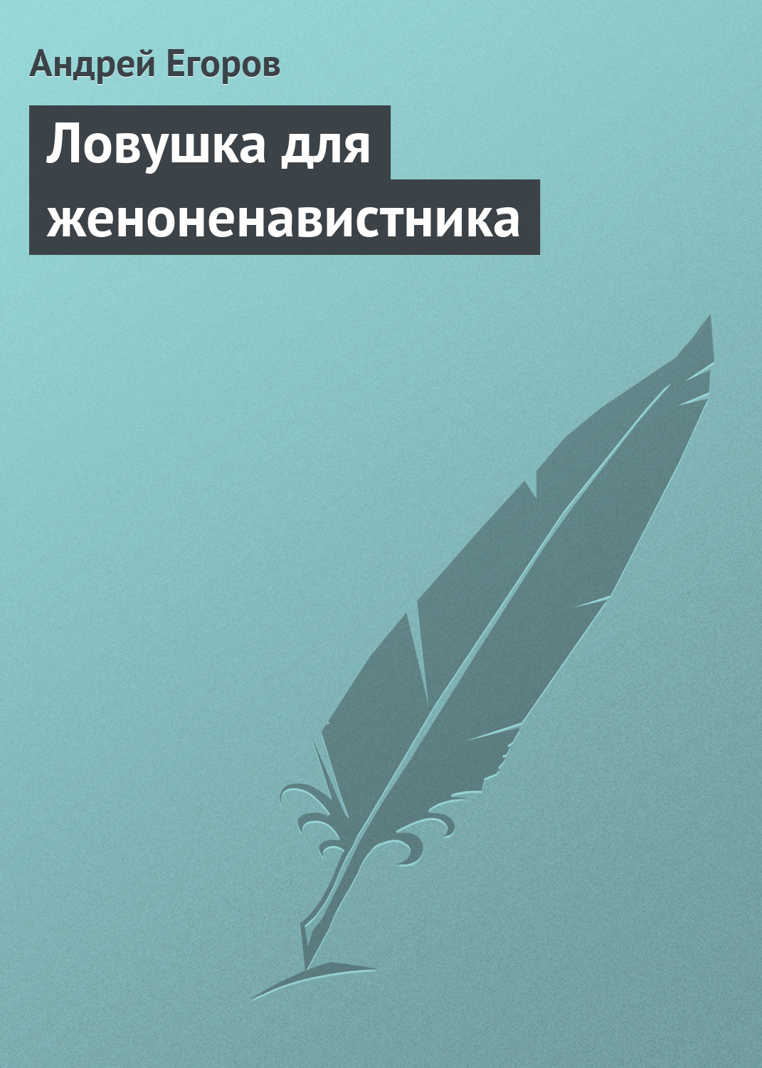 Обложка книги «Ловушка для женоненавистника»