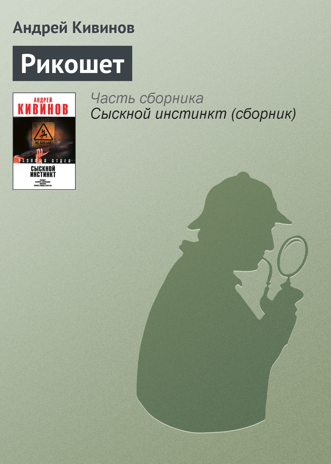 Обложка книги «Рикошет»