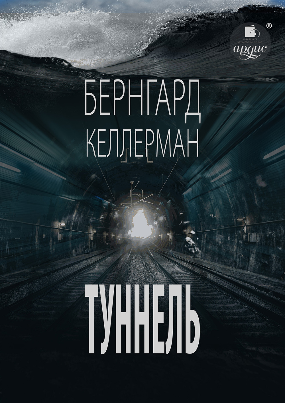 Обложка книги «Туннель»