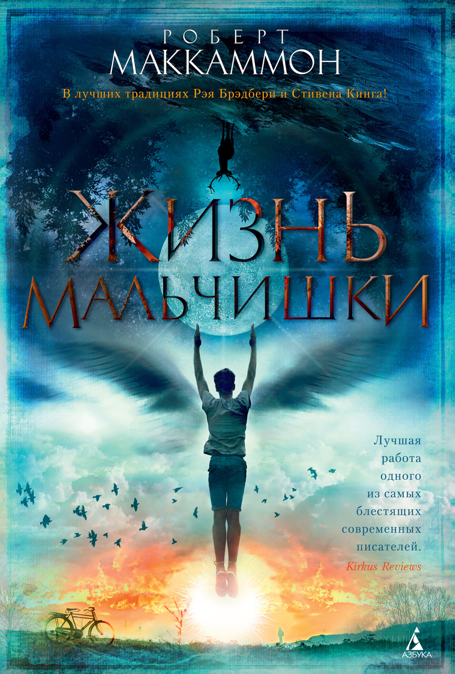 Обложка книги «Жизнь мальчишки»