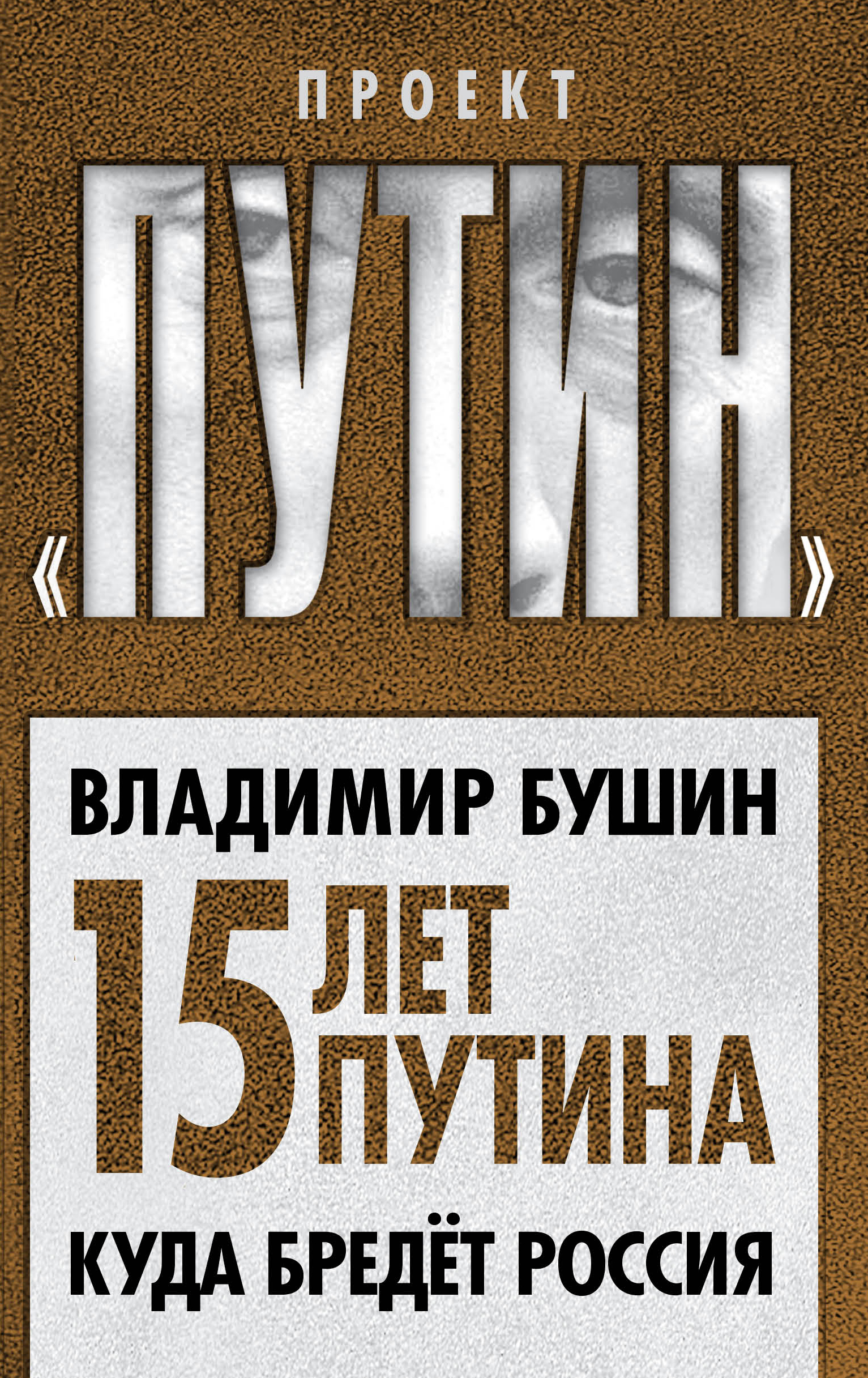 Обложка книги «Пятнадцать лет Путина. Куда бредет Россия»