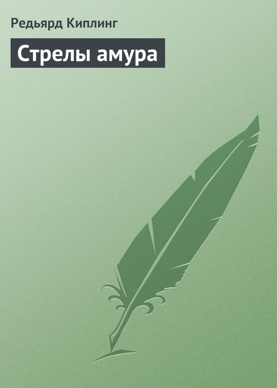Обложка книги «Стрелы амура»