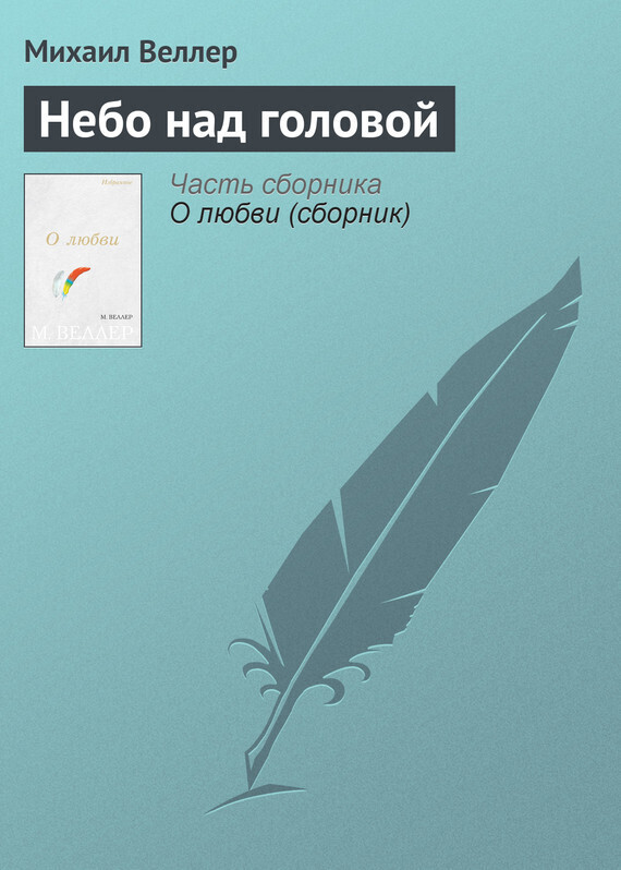 Обложка книги «Небо над головой»