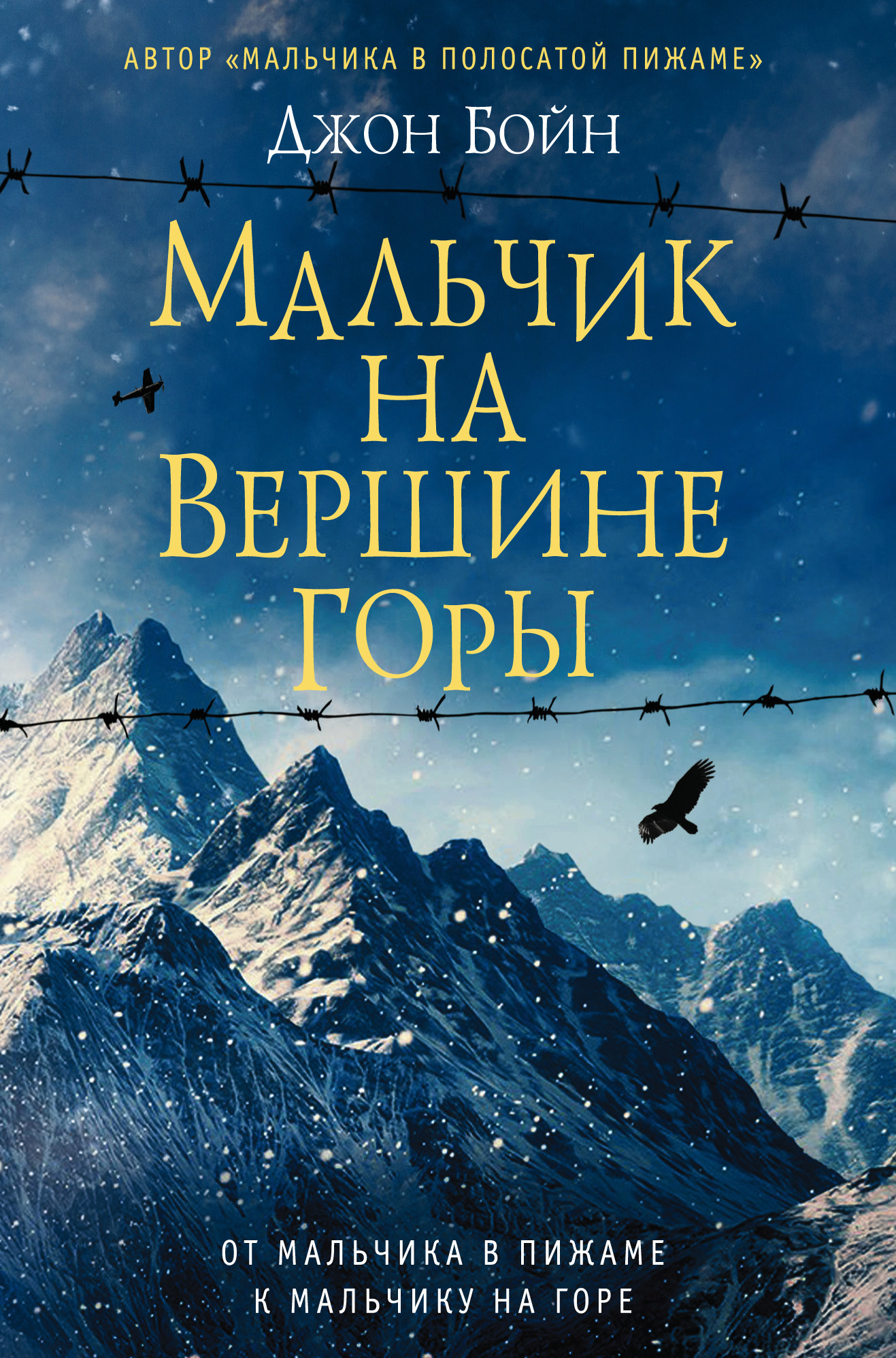Обложка книги «Мальчик на вершине горы»