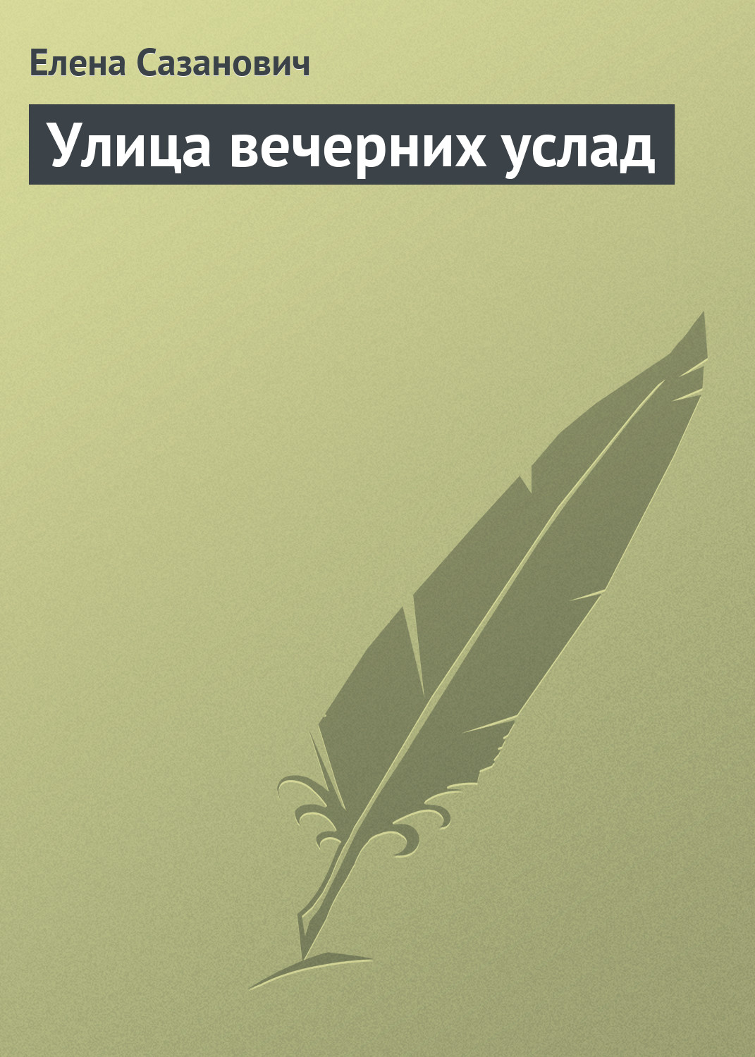 Обложка книги «Улица вечерних услад»