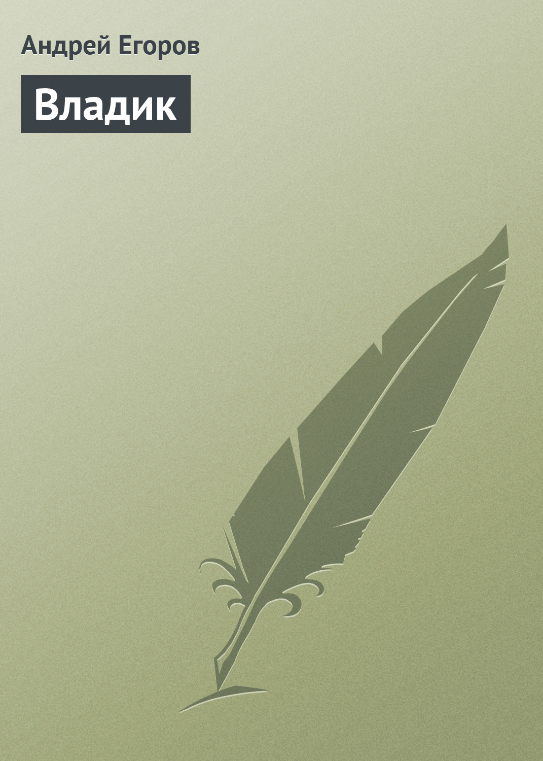 Обложка книги «Владик»