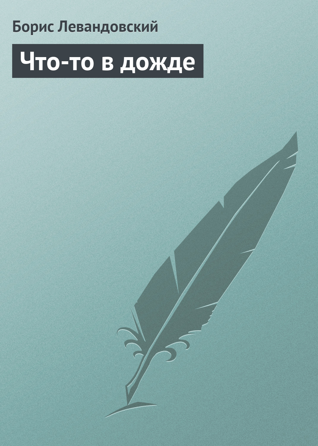Обложка книги «Что-то в дожде»
