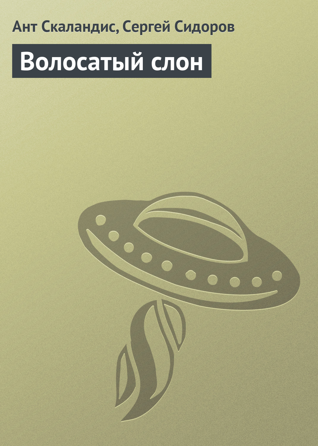 Обложка книги «Волосатый слон»