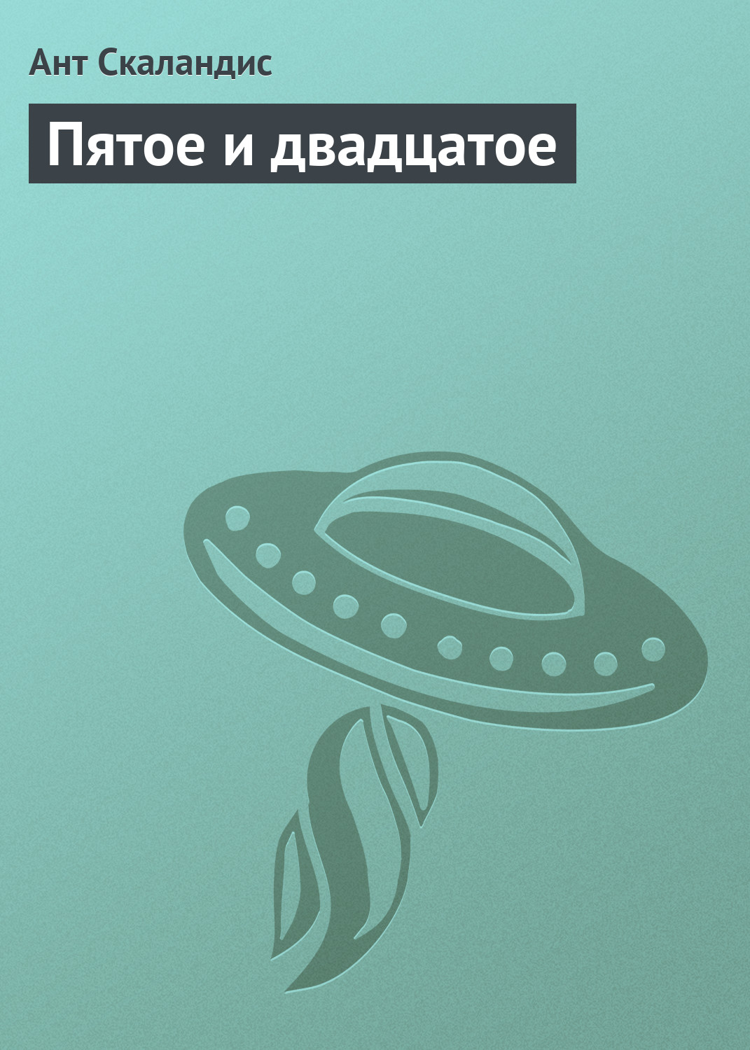 Обложка книги «Пятое и двадцатое»