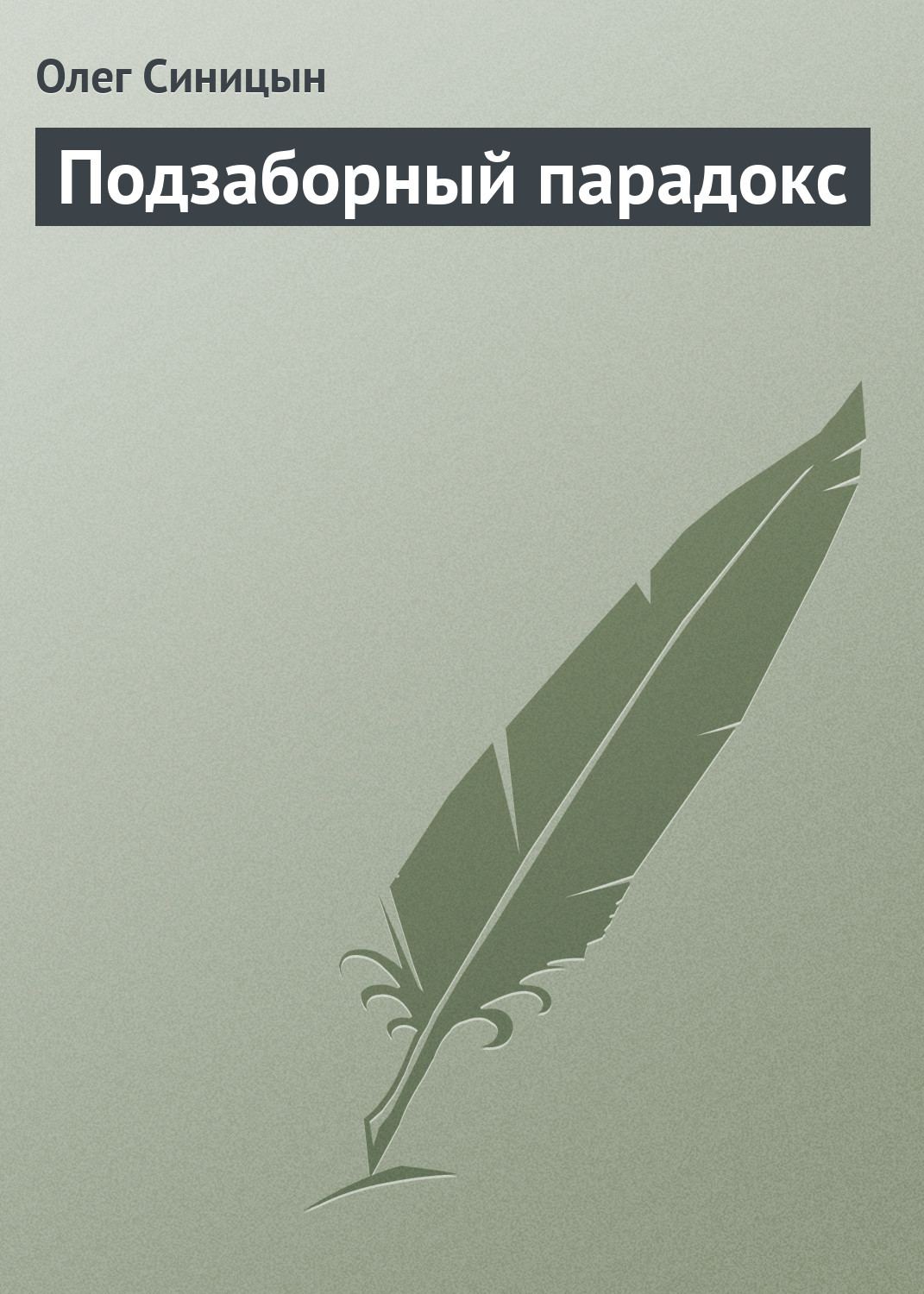 Обложка книги «Подзаборный парадокс»