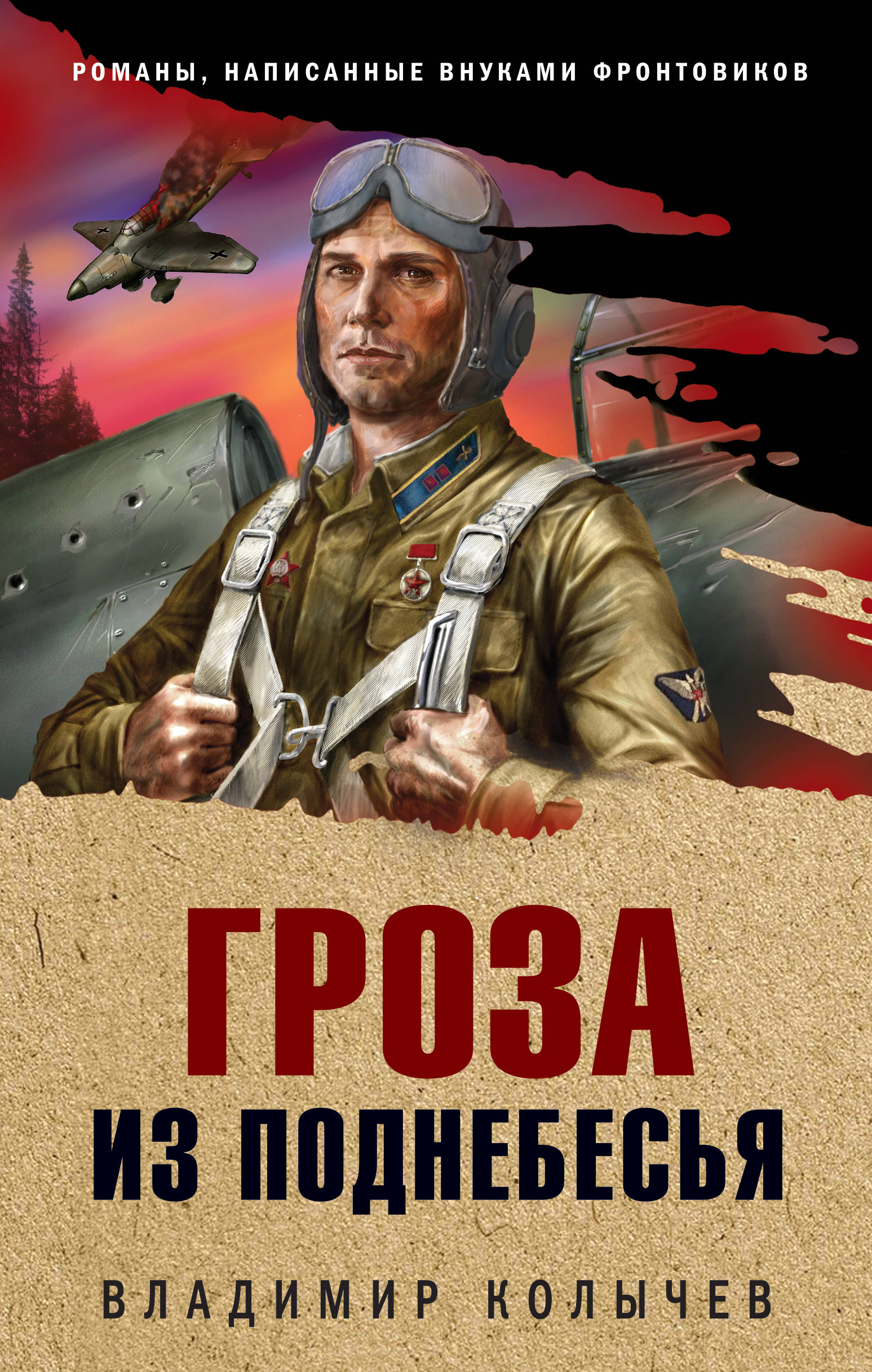 Обложка книги «Гроза из поднебесья»
