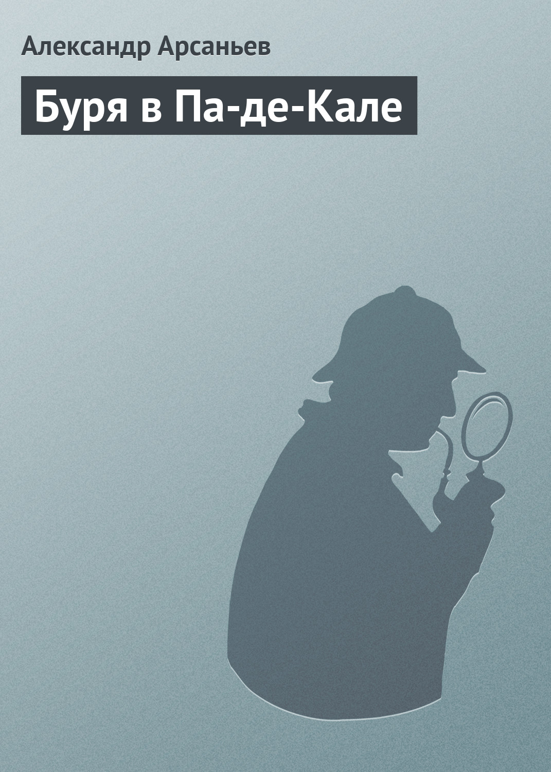 Обложка книги «Буря в Па-де-Кале»