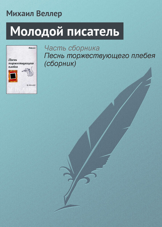 Обложка книги «Молодой писатель»