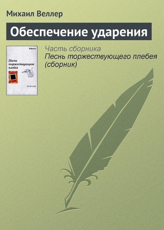 Обложка книги «Обеспечение ударения»