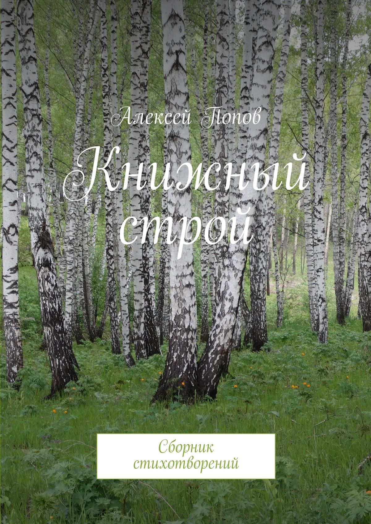Обложка книги «Книжный строй. Сборник стихотворений»