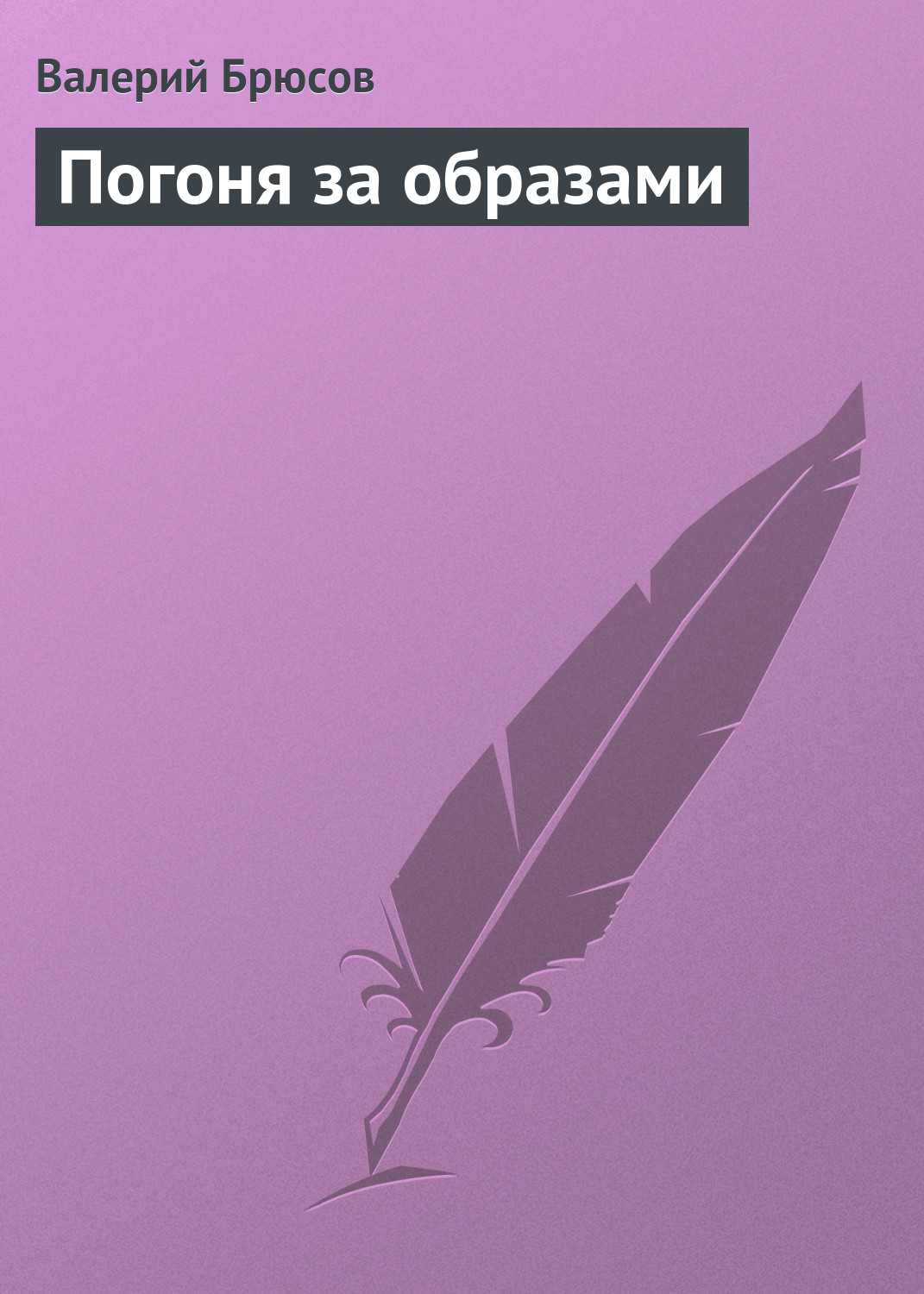 Обложка книги «Погоня за образами»