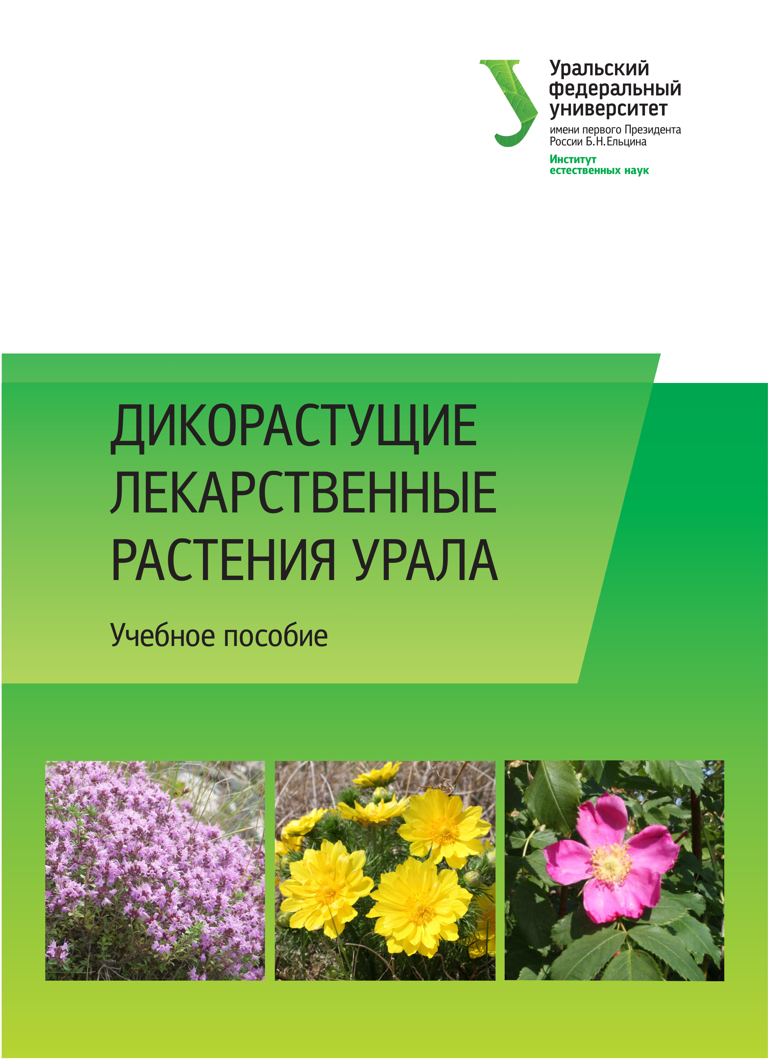 Обложка книги «Дикорастущие лекарственные растения Урала»
