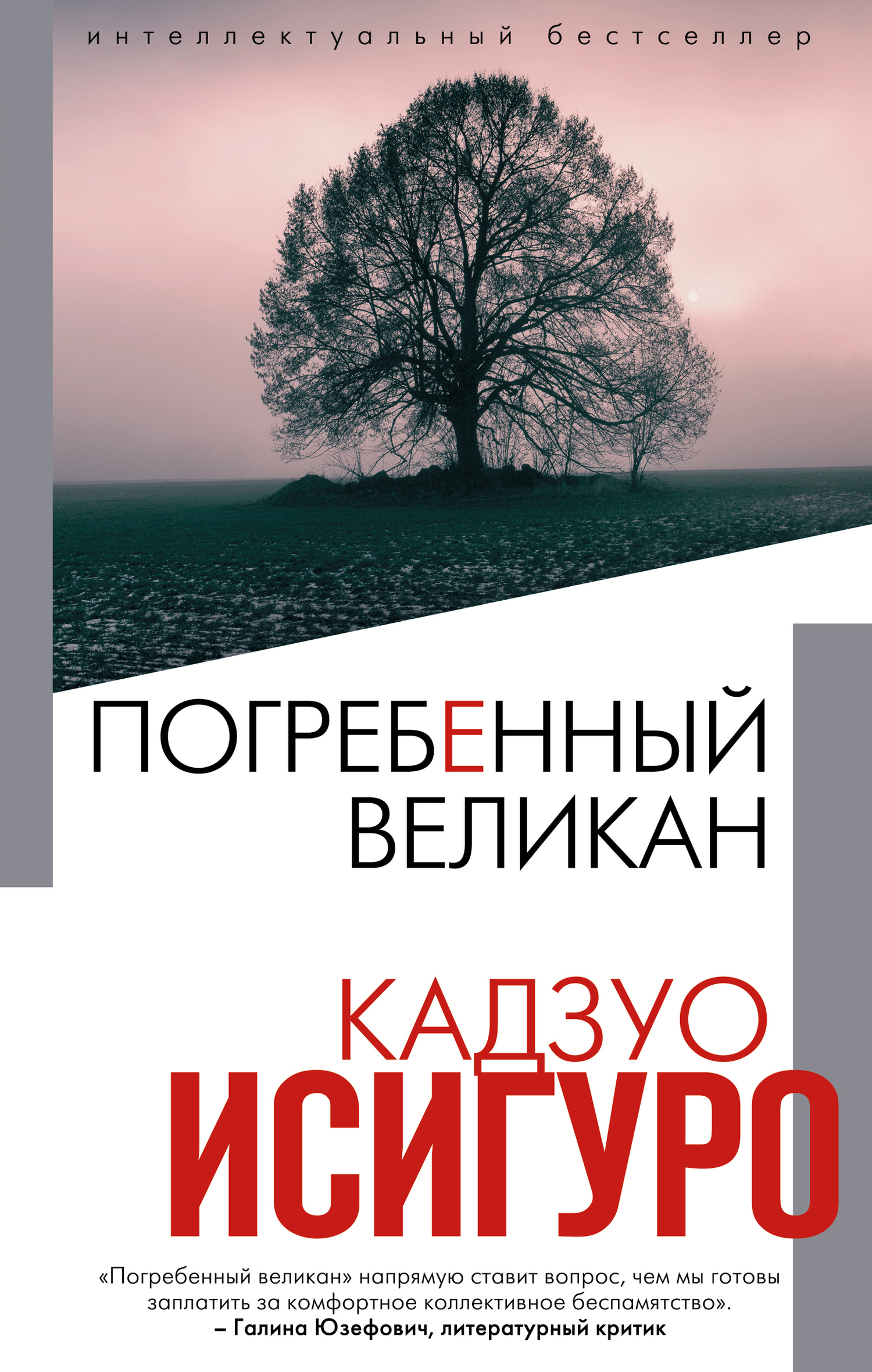 Обложка книги «Погребенный великан»
