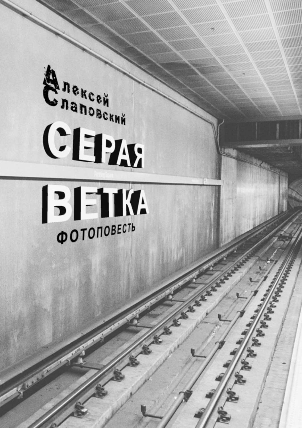Обложка книги «Серая ветка. Фотоповесть»