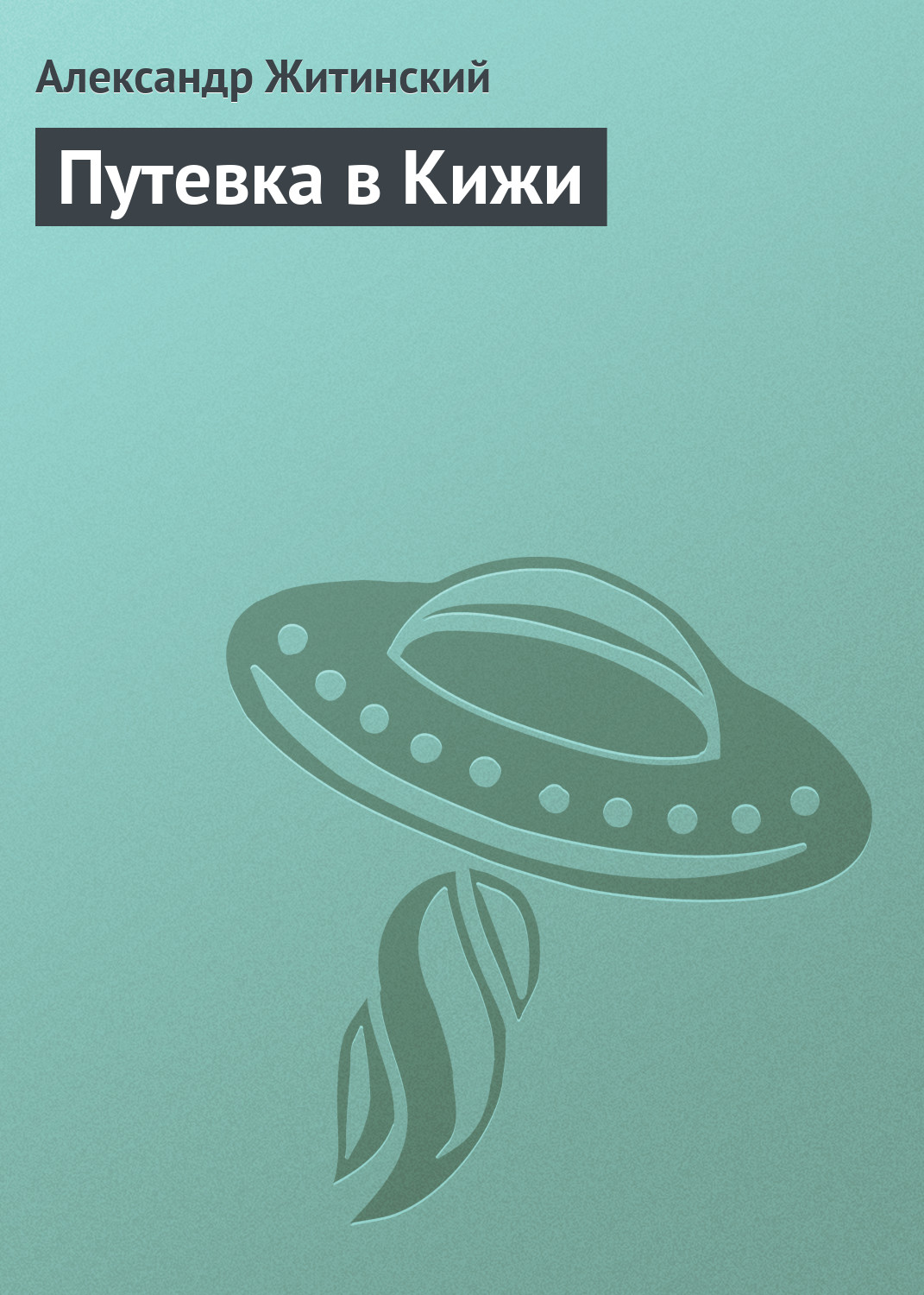 Обложка книги «Путевка в Кижи»