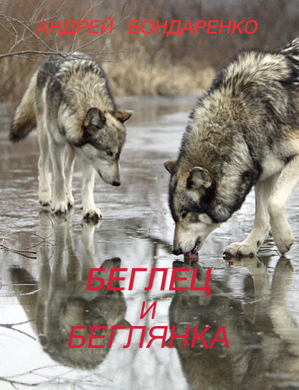 Обложка книги «Беглец и Беглянка»