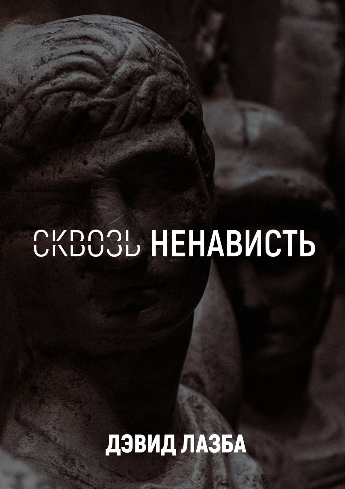 Обложка книги «Сквозь ненависть. 11 кругов ада»