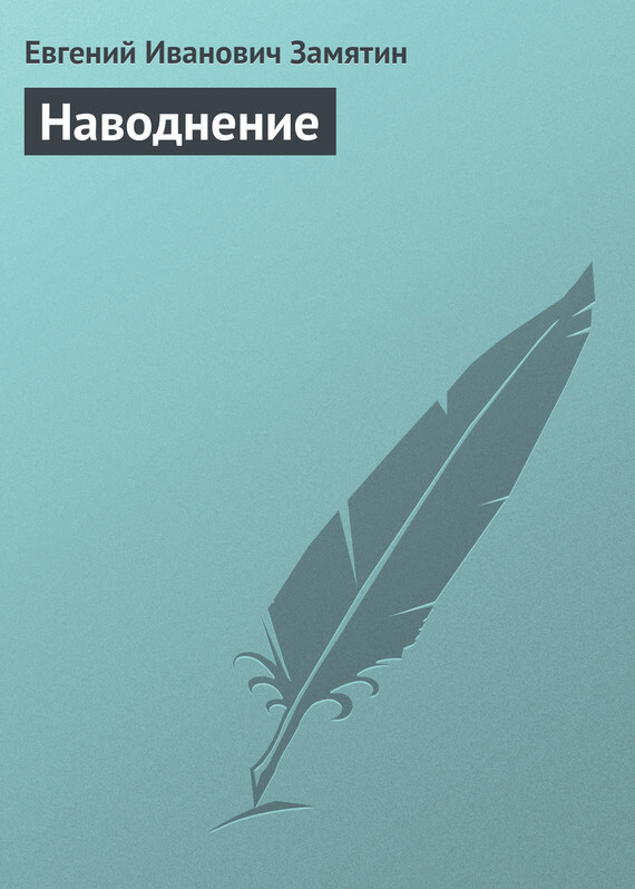 Обложка книги «Наводнение»