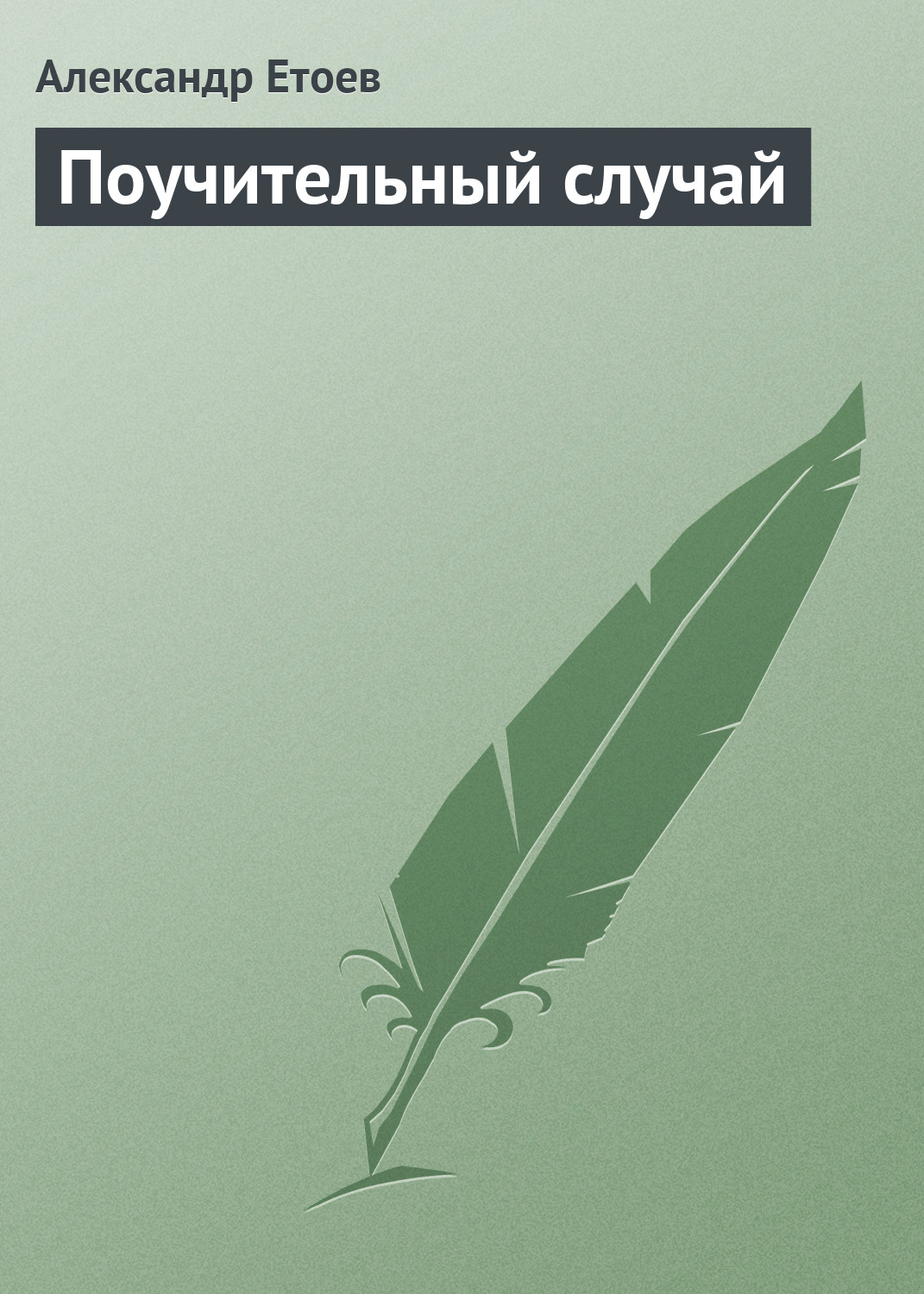 Обложка книги «Поучительный случай»