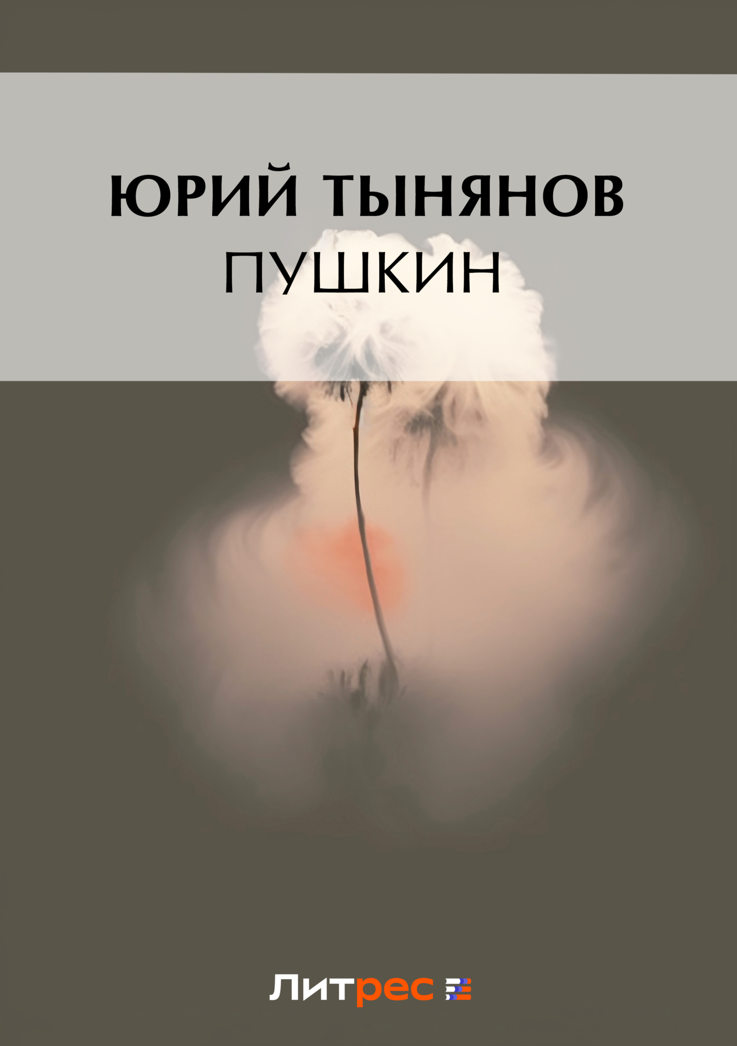 Обложка книги «Пушкин»