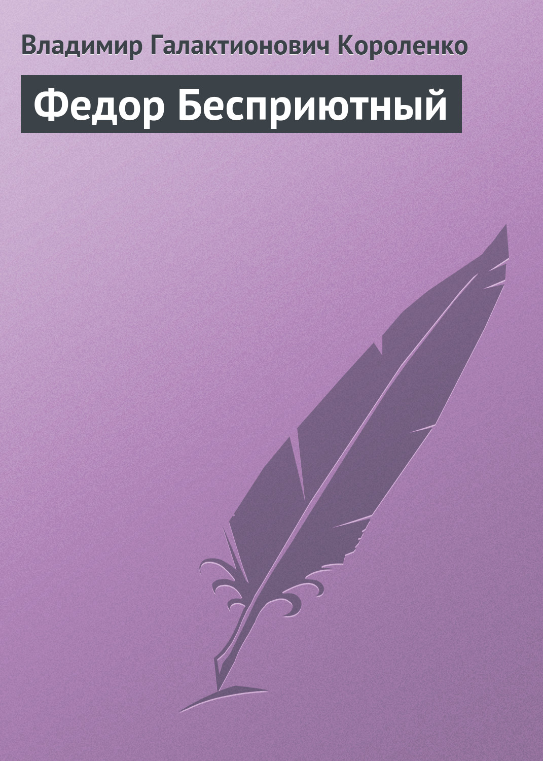 Обложка книги «Федор Бесприютный»