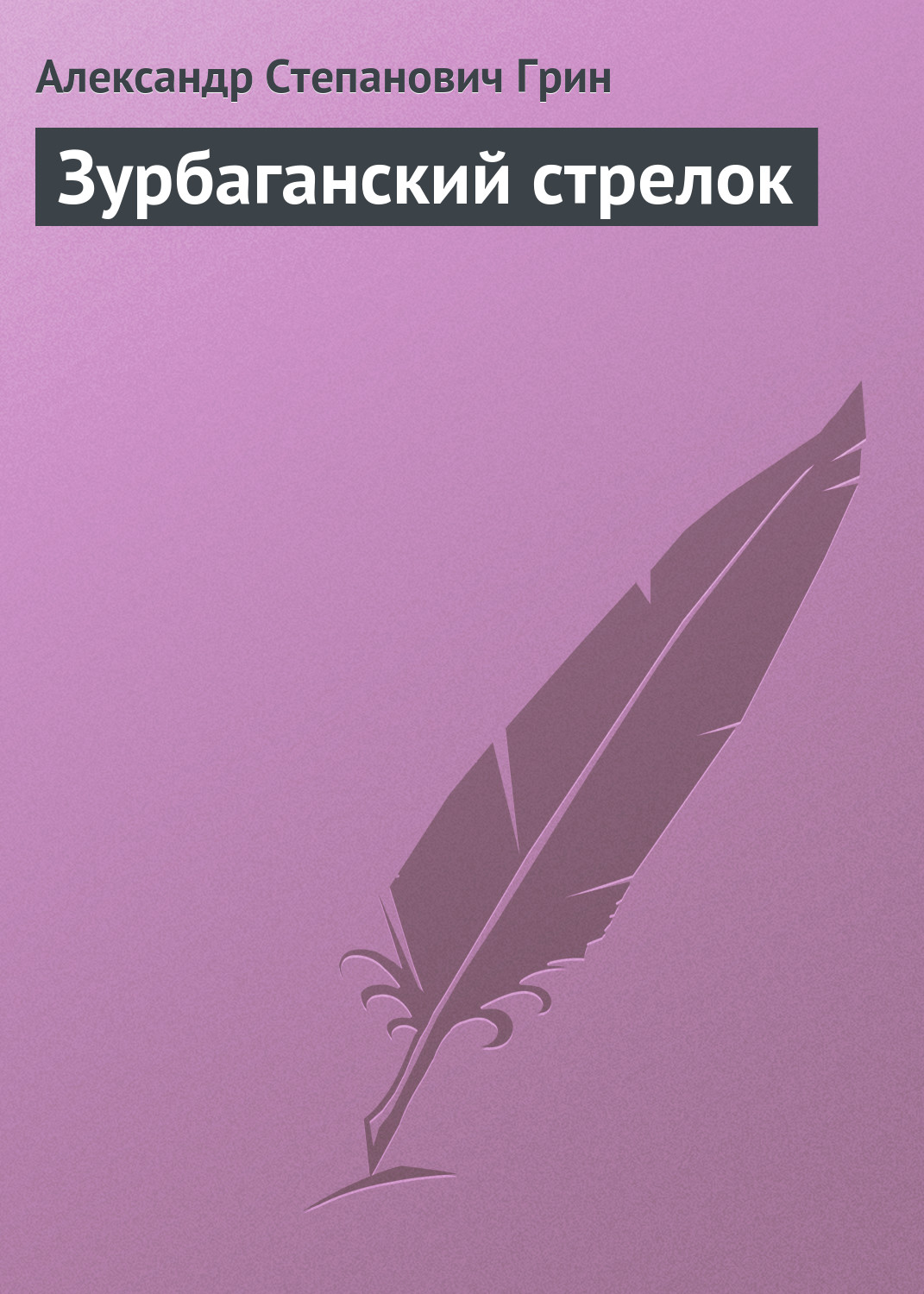 Обложка книги «Зурбаганский стрелок»