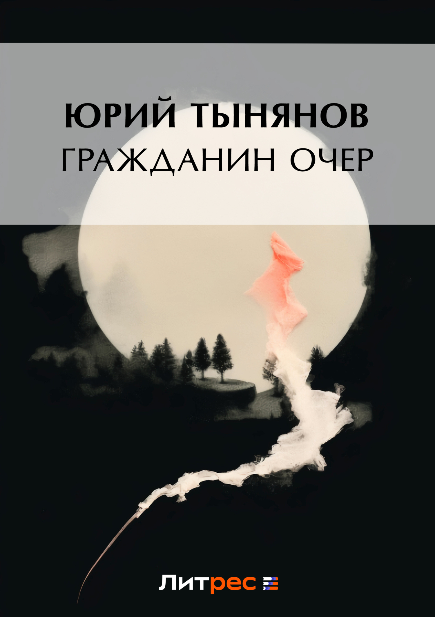 Обложка книги «Гражданин Очер»