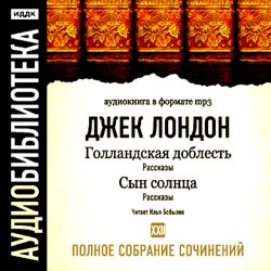 Обложка книги «Сын солнца. Голландская доблесть»