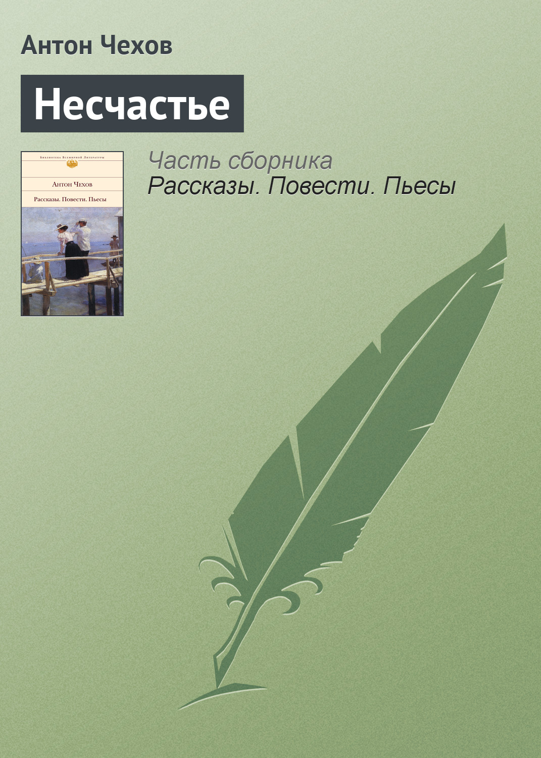 Обложка книги «Несчастье»